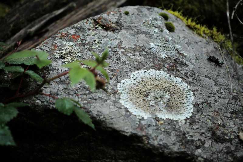 _mg_8651.jpg