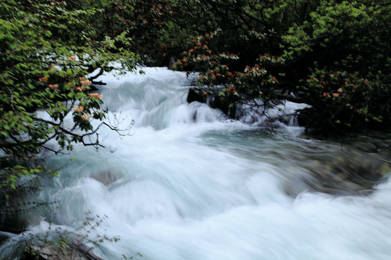 _mg_8678.jpg