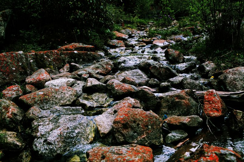 _mg_8682.jpg