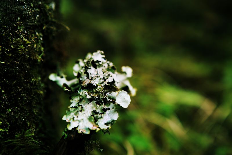 _mg_8705.jpg
