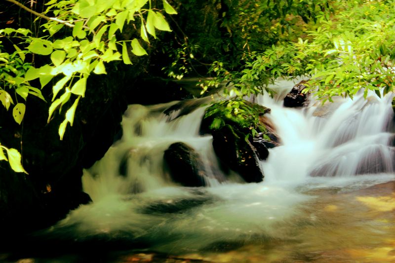 _mg_3995.jpg