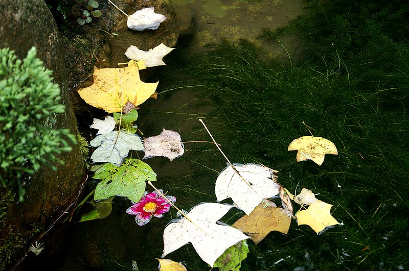 dsc01882.jpg