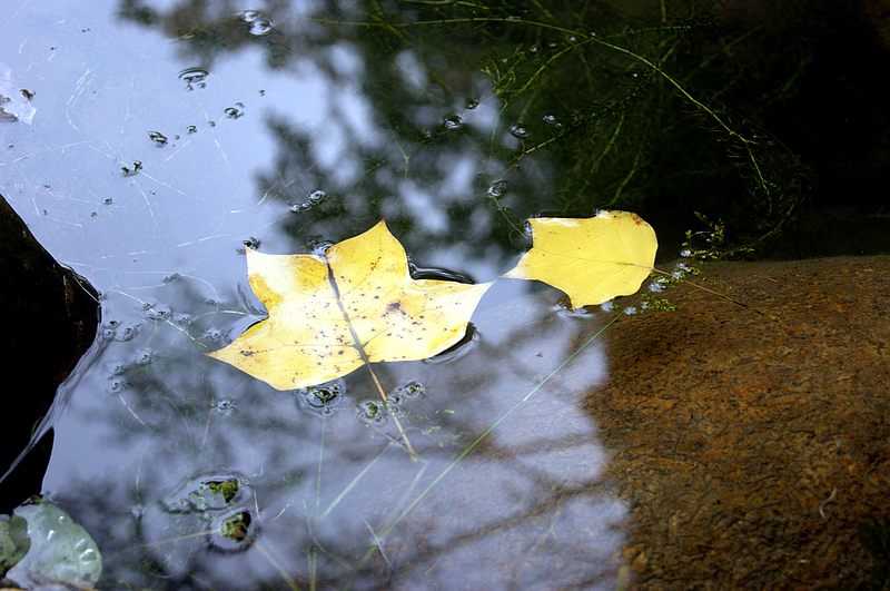 dsc01877.jpg