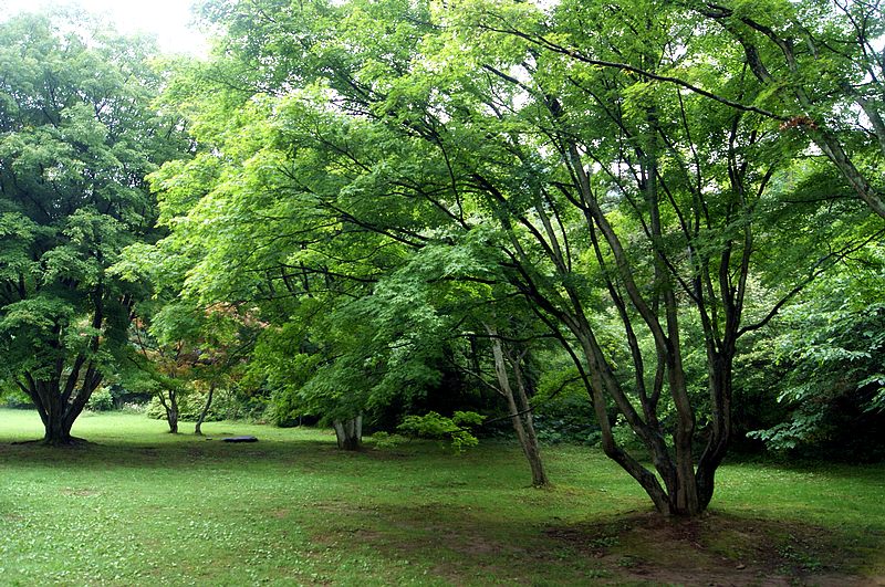 dsc01886.jpg