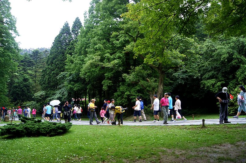 dsc01885.jpg