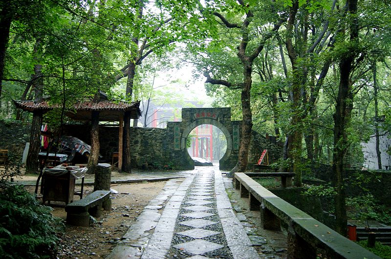 dsc01974.jpg