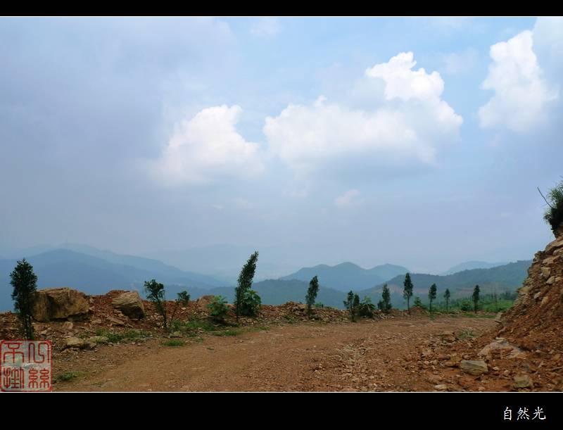l1350145.jpg