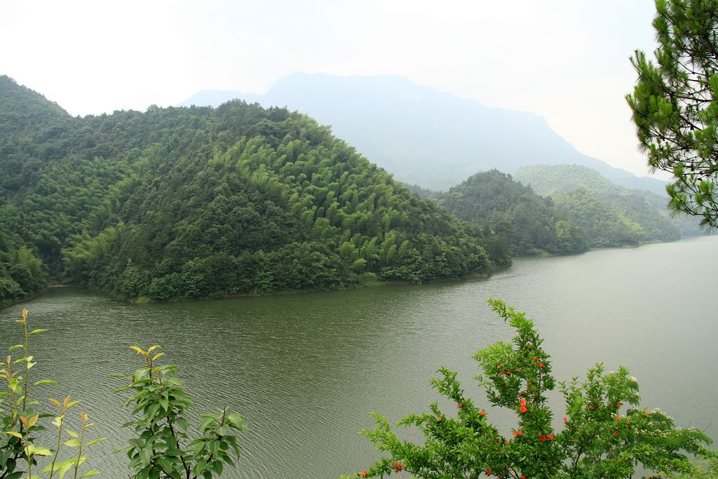 img_6320.jpg
