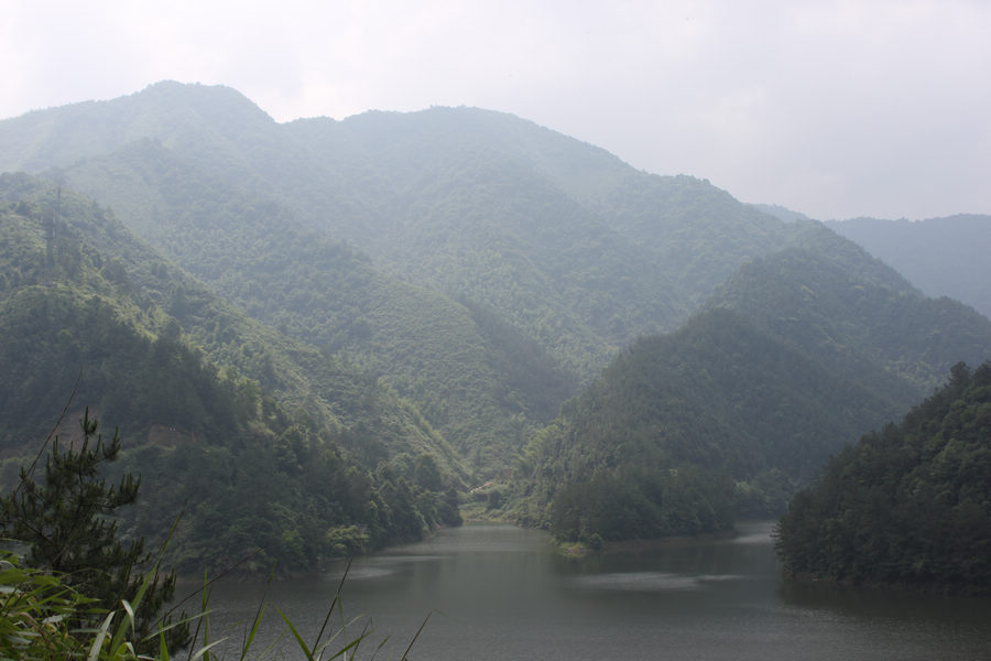 Ƭ 010.jpg