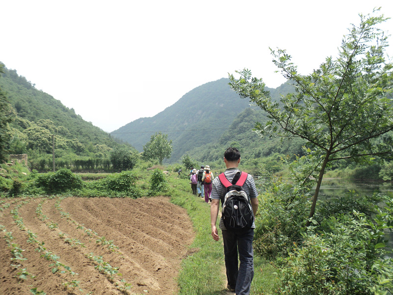 dsc08521_.jpg