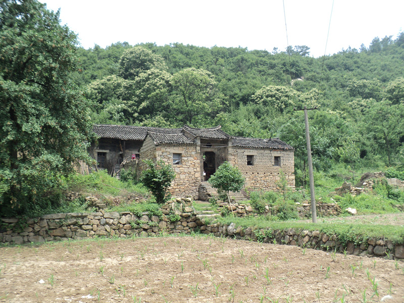 dsc08522_.jpg