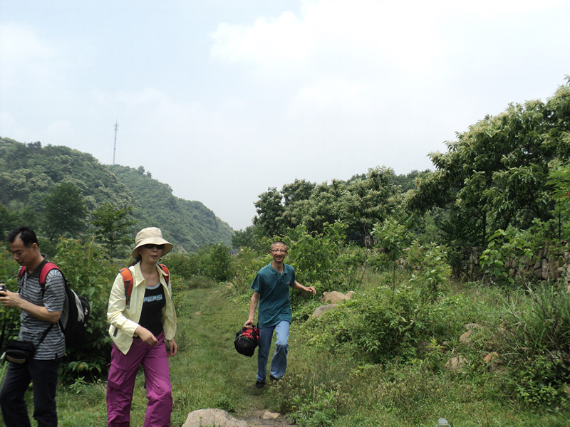 dsc08525_.jpg