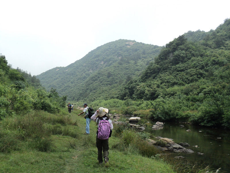 dsc08524_.jpg