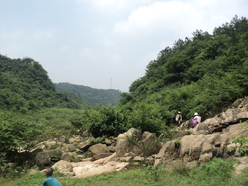 dsc08530_.jpg