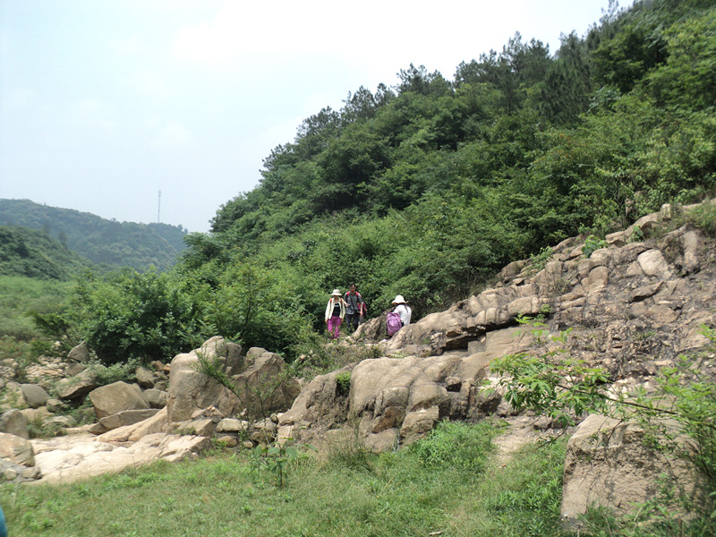 dsc08531_.jpg
