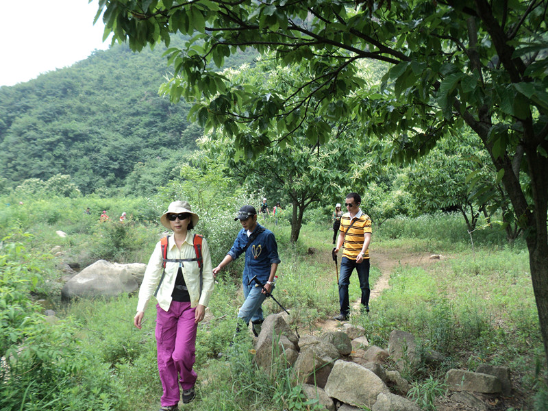 dsc08532_.jpg