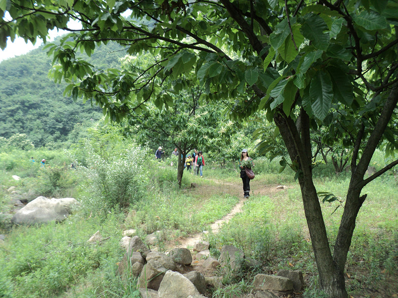 dsc08533_.jpg