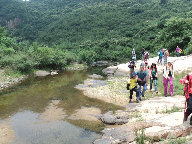 dsc08537_.jpg