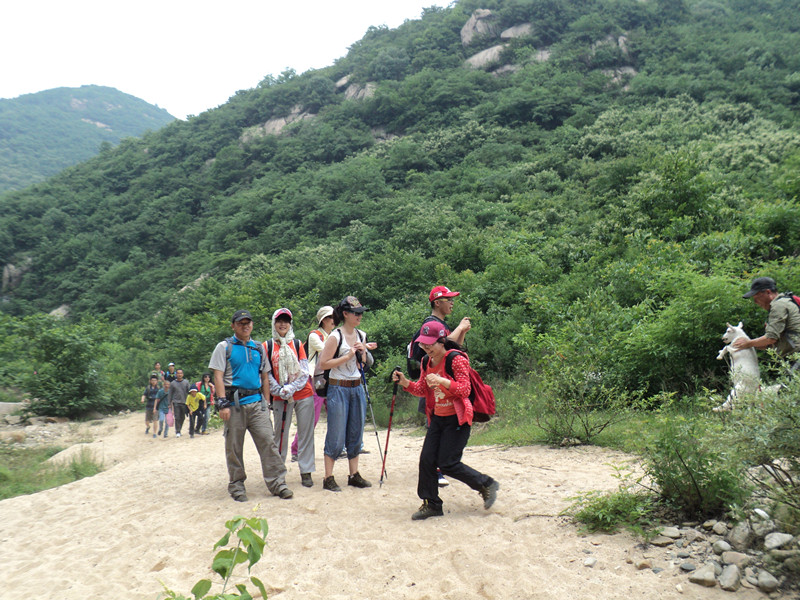 dsc08540_.jpg
