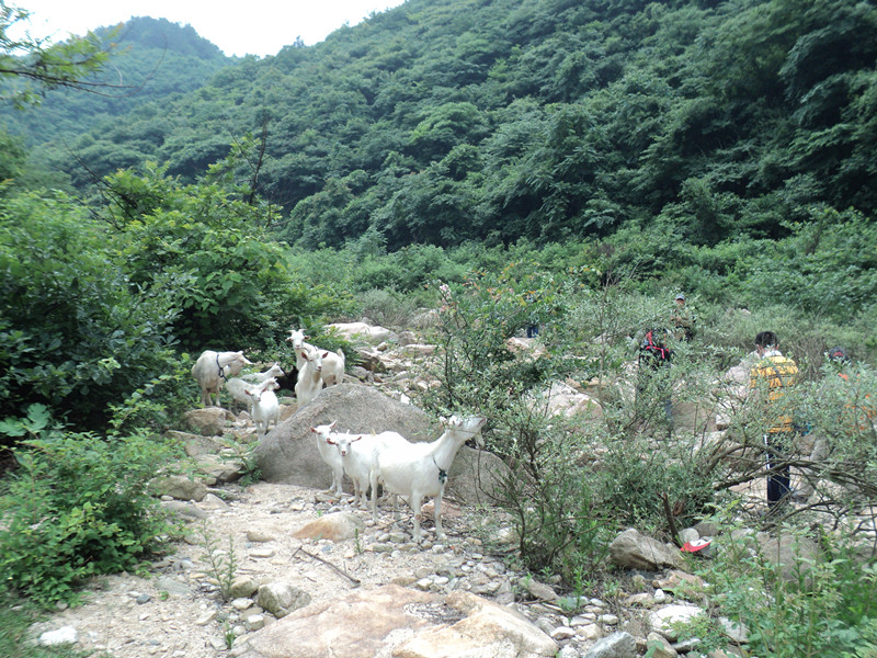 dsc08539_.jpg