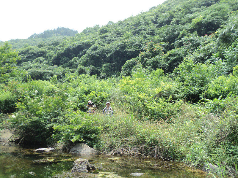 dsc08544_.jpg