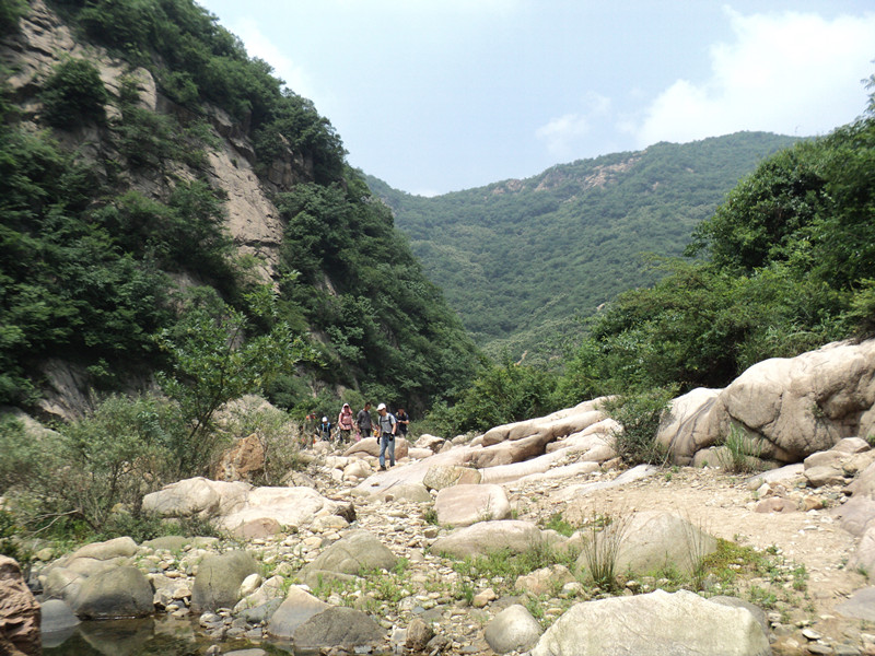 dsc08547_.jpg