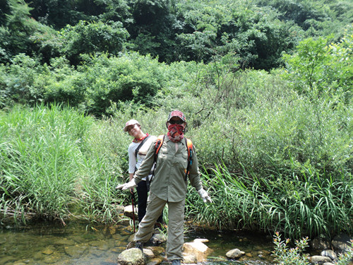 dsc08550__.jpg