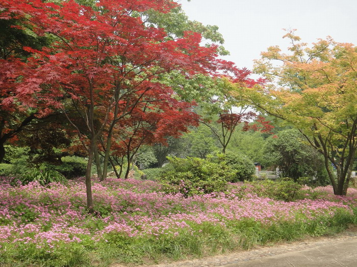 辰-1.jpg