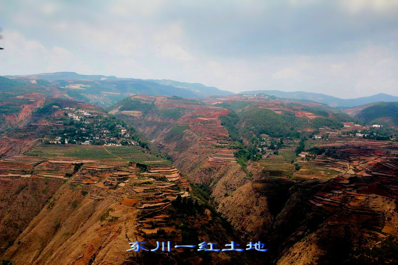 img_3081_缩小大小.jpg
