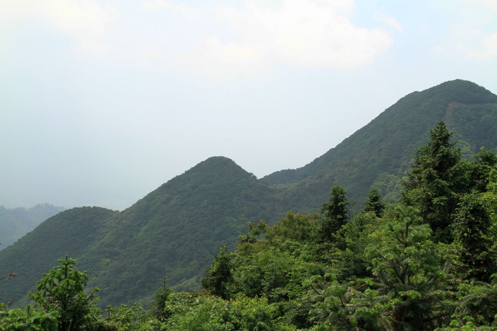 img_6401.jpg