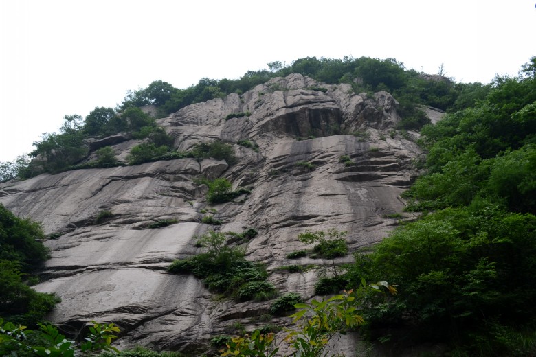 Ů̶ 090_conew1.jpg