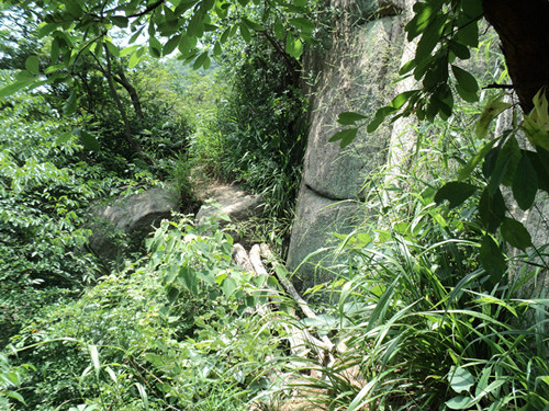 dsc08559__.jpg