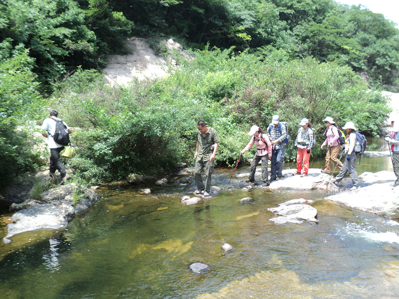 dsc08560_.jpg
