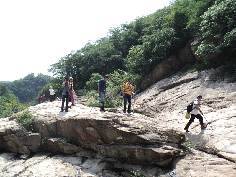 dsc08567_.jpg