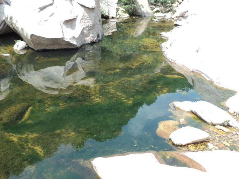 dsc08568_.jpg