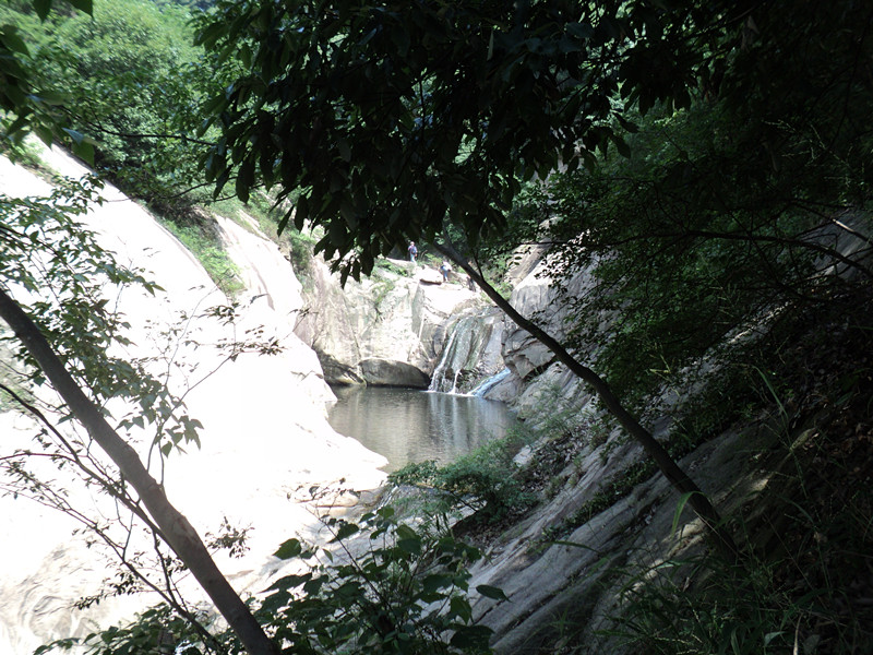 dsc08575_.jpg