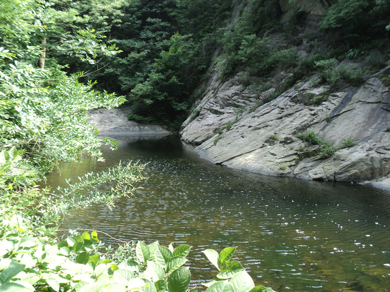 dsc08577_.jpg