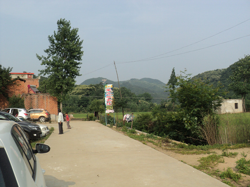 dsc08583_.jpg