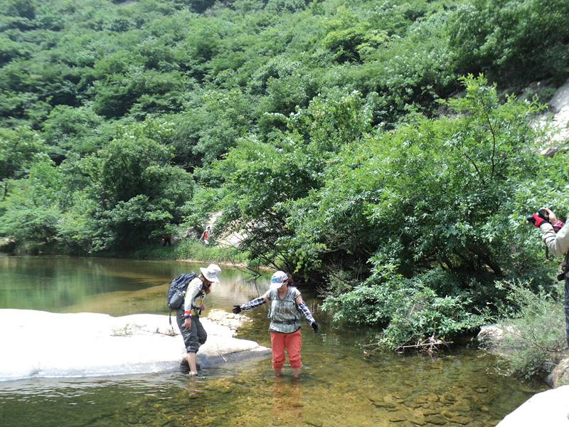 dsc08553_.jpg