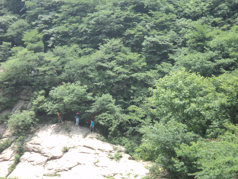 dsc08556_.jpg