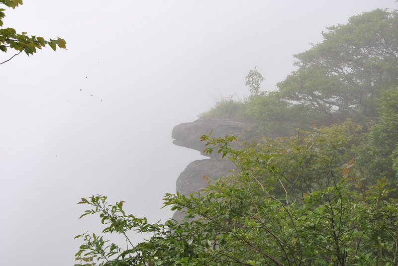 dsc_0108_С.jpg