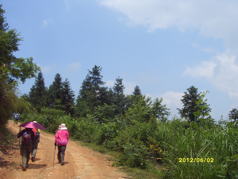 sdc13838_.jpg