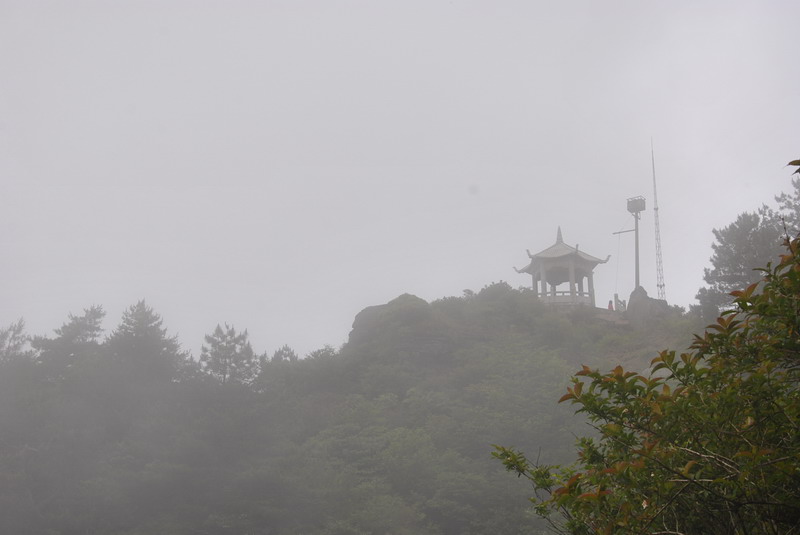 dsc_0110_С.jpg