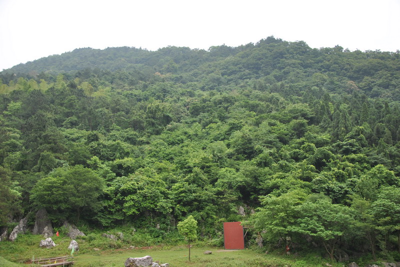 dsc_0111_С.jpg