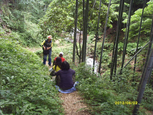 sdc13833_.jpg