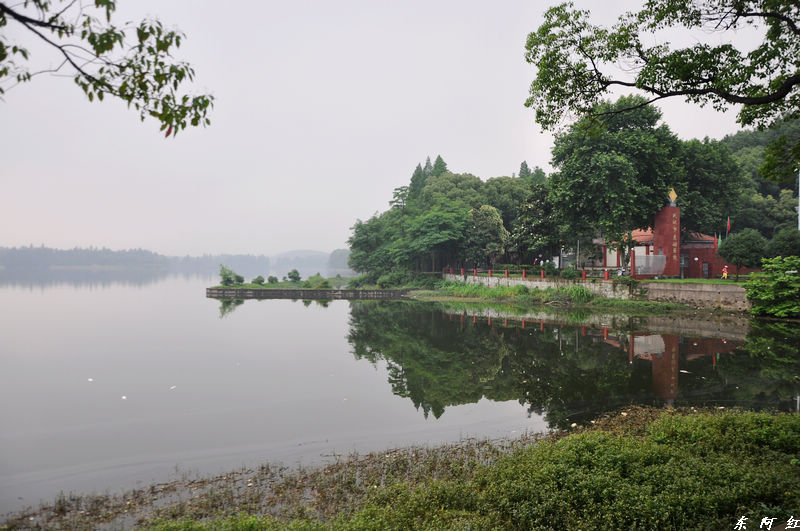dsc_0201.jpg