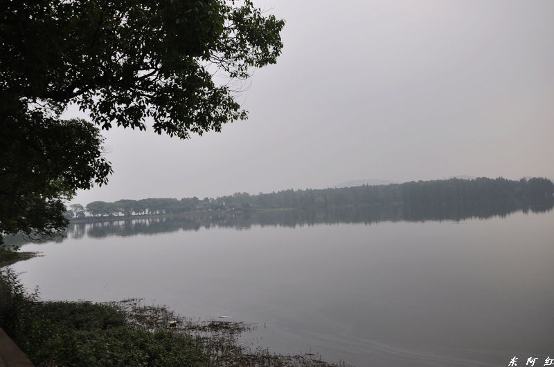 dsc_0203.jpg