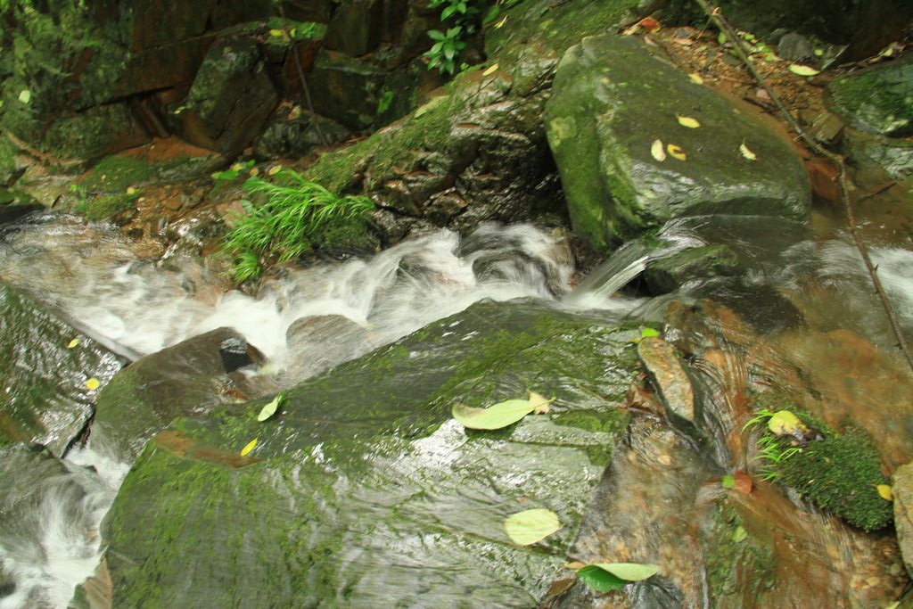 img_6543.jpg