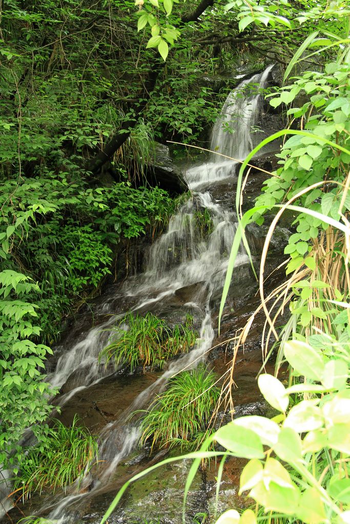 img_6542.jpg