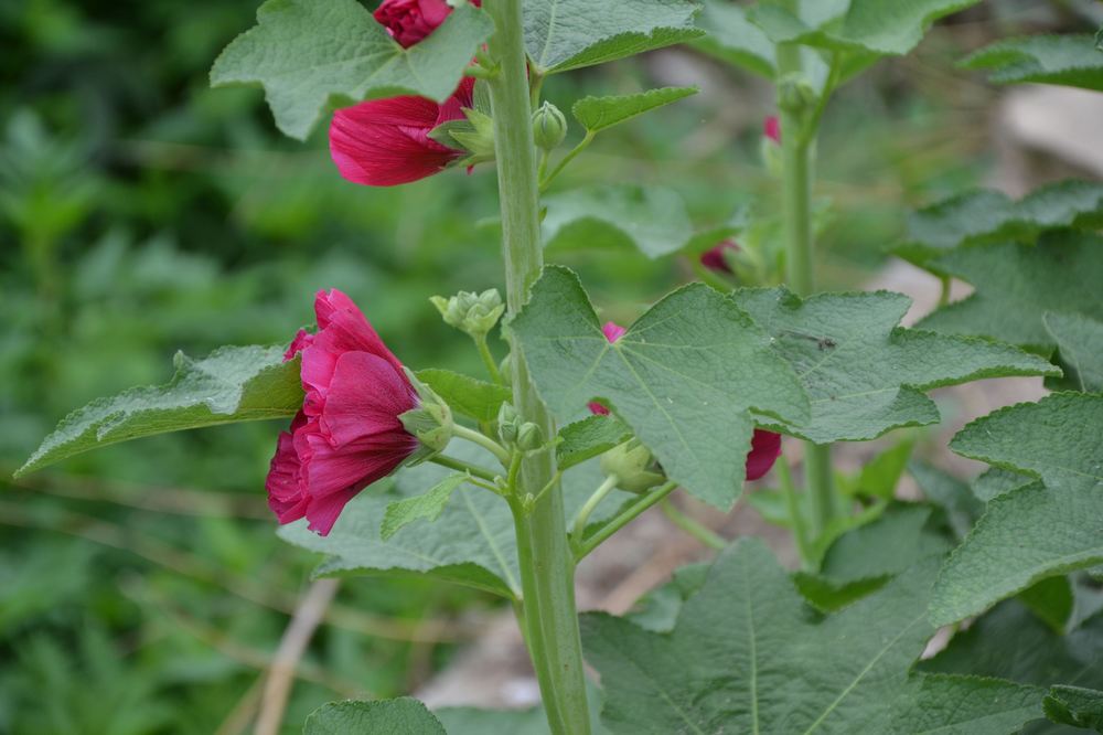 2012.6.3Ů̶006.jpg